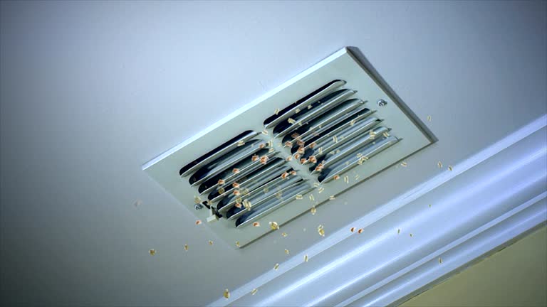 Best Air Duct Cleaning Company Near Me  in Addis, LA